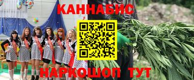 шишки Павлово