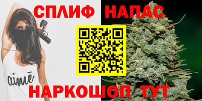 молекула духа Отрадный