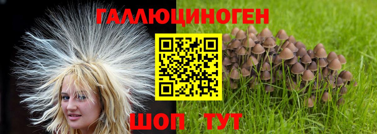 Псилоцибиновые грибы Cubensis Набережные Челны