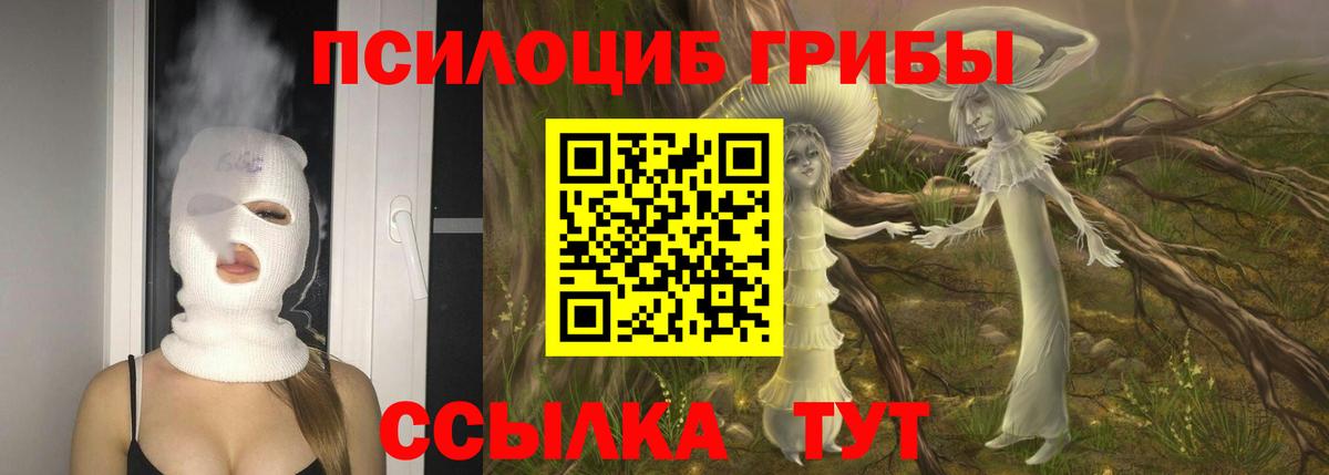 Набережные Челны  Псилоцибиновые грибы Psilocybine cubensis  Вход с VPN  Псилоцибиновые грибы Cubensis 
